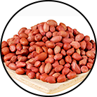 Peanut